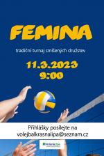volejbalovy-turnaj-Femina-110323-plakat.jpg